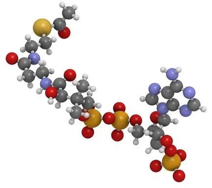 SIMLA 360 contains coenzyme Q10