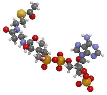 Simpla 360 contains coenzyme Q10